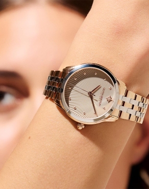 그레이 스타라이트