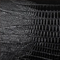 BLACK LIZARD