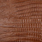 COGNAC LIZARD